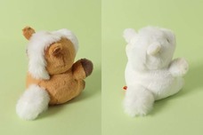 ブルーブルーエジャパン株式会社のプレスリリース画像6