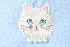 ブルーブルーエジャパン株式会社のプレスリリース画像8