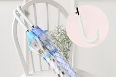 ブルーブルーエジャパン株式会社のプレスリリース画像2