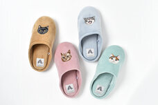 ブルーブルーエジャパン株式会社のプレスリリース画像9