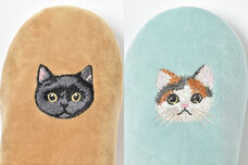 ブルーブルーエジャパン株式会社のプレスリリース画像10