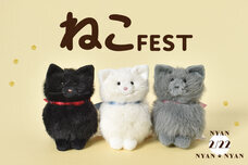 ブルーブルーエジャパン株式会社のプレスリリース画像12