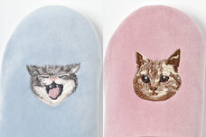 ブルーブルーエジャパン株式会社のプレスリリース画像11