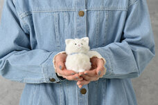 ブルーブルーエジャパン株式会社のプレスリリース画像3