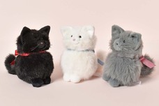 ブルーブルーエジャパン株式会社のプレスリリース画像1