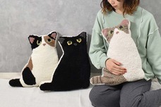 ブルーブルーエジャパン株式会社のプレスリリース画像7