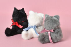 ブルーブルーエジャパン株式会社のプレスリリース画像4