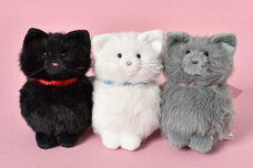 ブルーブルーエジャパン株式会社のプレスリリース画像2