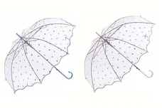 ブルーブルーエジャパン株式会社のプレスリリース画像7