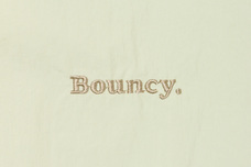 ブルーブルーエジャパン株式会社のプレスリリース画像6