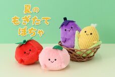 ブルーブルーエジャパン株式会社のプレスリリース画像11