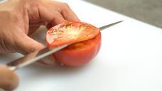 株式会社ＴＡＰＰのプレスリリース画像11