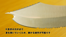 株式会社ＴＡＰＰのプレスリリース画像4