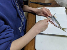 株式会社ＴＡＰＰのプレスリリース画像2