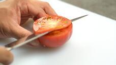 株式会社ＴＡＰＰのプレスリリース画像5