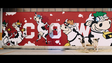 牛乳石鹼共進社株式会社のプレスリリース