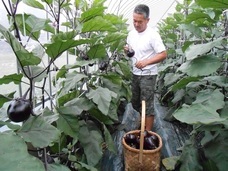 健康和惣菜ながいきおまめのプレスリリース画像5