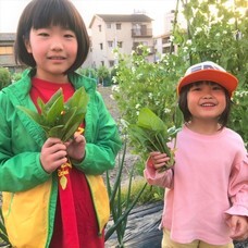 アトリエSubaruのプレスリリース画像9