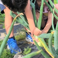 アトリエSubaruのプレスリリース画像10