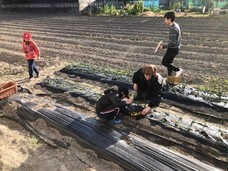 アトリエSubaruのプレスリリース画像7