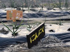 アトリエSubaruのプレスリリース画像6