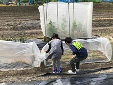 アトリエSubaruのプレスリリース画像8