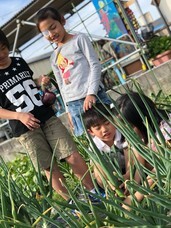 アトリエSubaruのプレスリリース画像4