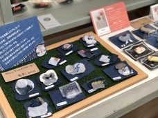 アトリエSubaruのプレスリリース画像6