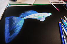 株式会社アクア環境システムTOJOのプレスリリース画像4