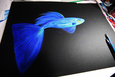 株式会社アクア環境システムTOJOのプレスリリース画像10