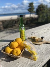 株式会社Surfriderのプレスリリース画像1