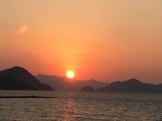 OHANAのプレスリリース画像1