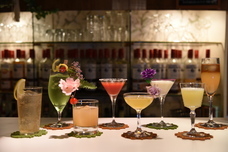 Private garden bar Green Spotのプレスリリース