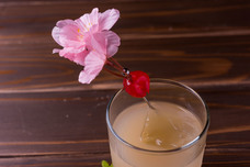 Private garden bar Green Spotのプレスリリース画像2