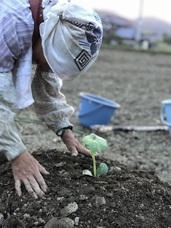 株式会社ポケットのプレスリリース画像2