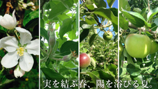 株式会社ホクユーフーズのプレスリリース画像4