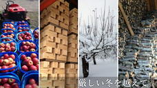 株式会社ホクユーフーズのプレスリリース画像6