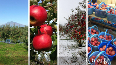 株式会社ホクユーフーズのプレスリリース画像5