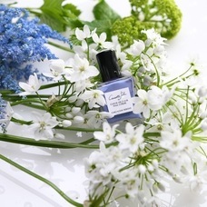 株式会社佐々木商店のプレスリリース画像3