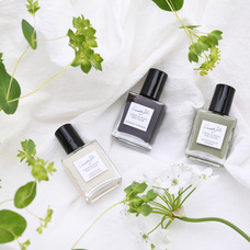 株式会社佐々木商店のプレスリリース画像2