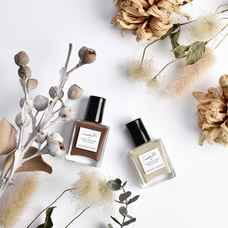 株式会社佐々木商店のプレスリリース画像3