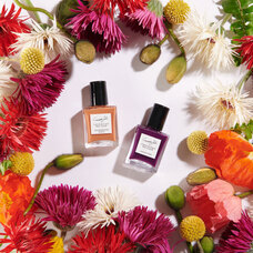 株式会社佐々木商店のプレスリリース画像3