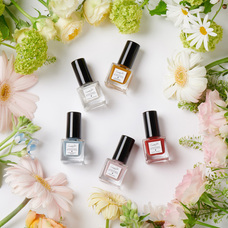 株式会社佐々木商店のプレスリリース画像3