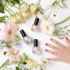 株式会社佐々木商店のプレスリリース画像2