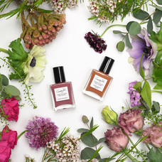 株式会社佐々木商店のプレスリリース画像2