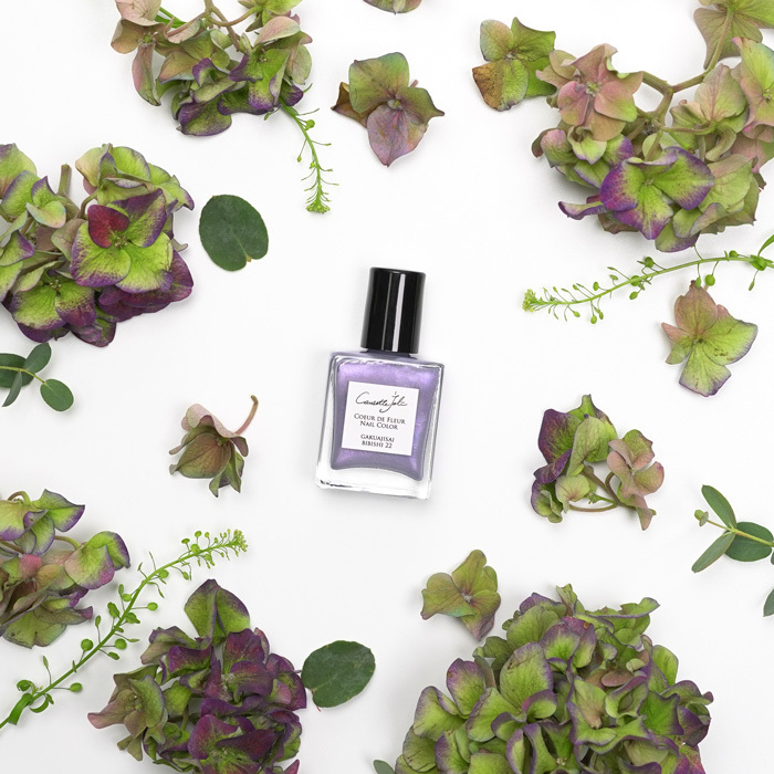 株式会社佐々木商店のプレスリリース見出し画像