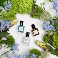 株式会社佐々木商店のプレスリリース画像1