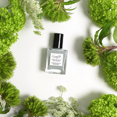 株式会社佐々木商店のプレスリリース画像1