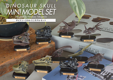 株式会社フェバリットのプレスリリース