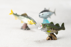 株式会社フェバリットのプレスリリース画像8